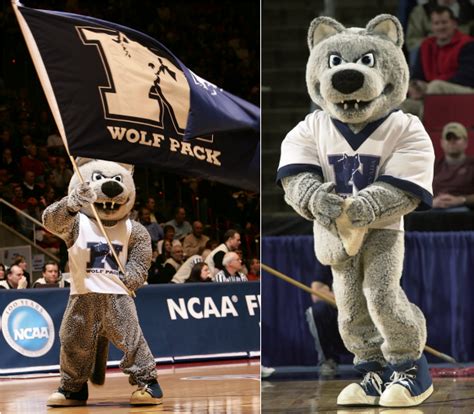 Finding Inspiration: Famous Wolfpack Mascot Names in Pop Culture